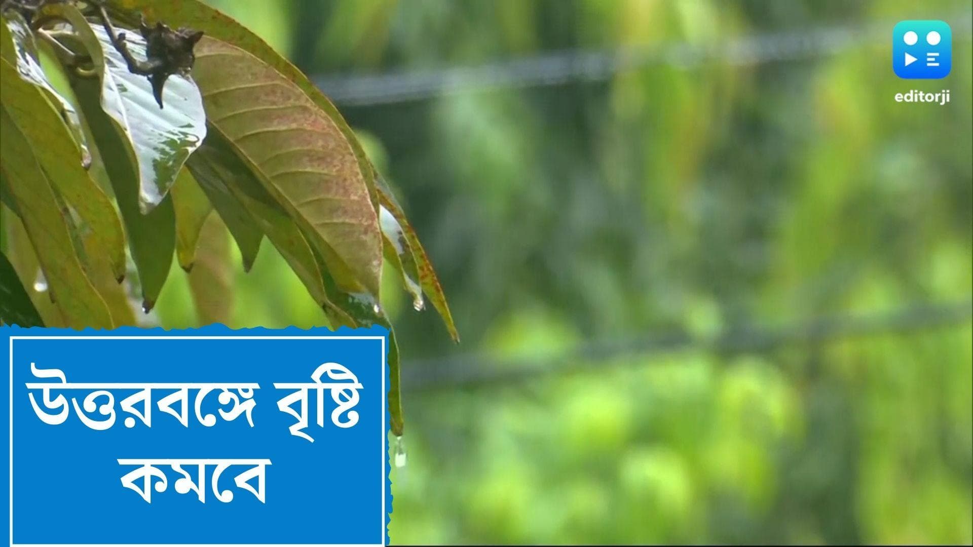 West Bengal Weather Update : ভরা বর্ষাতেও দক্ষিণে সেই ছিঁটেফোটা বৃষ্টি, উত্তরে কমবে বৃষ্টির পরিমাণ