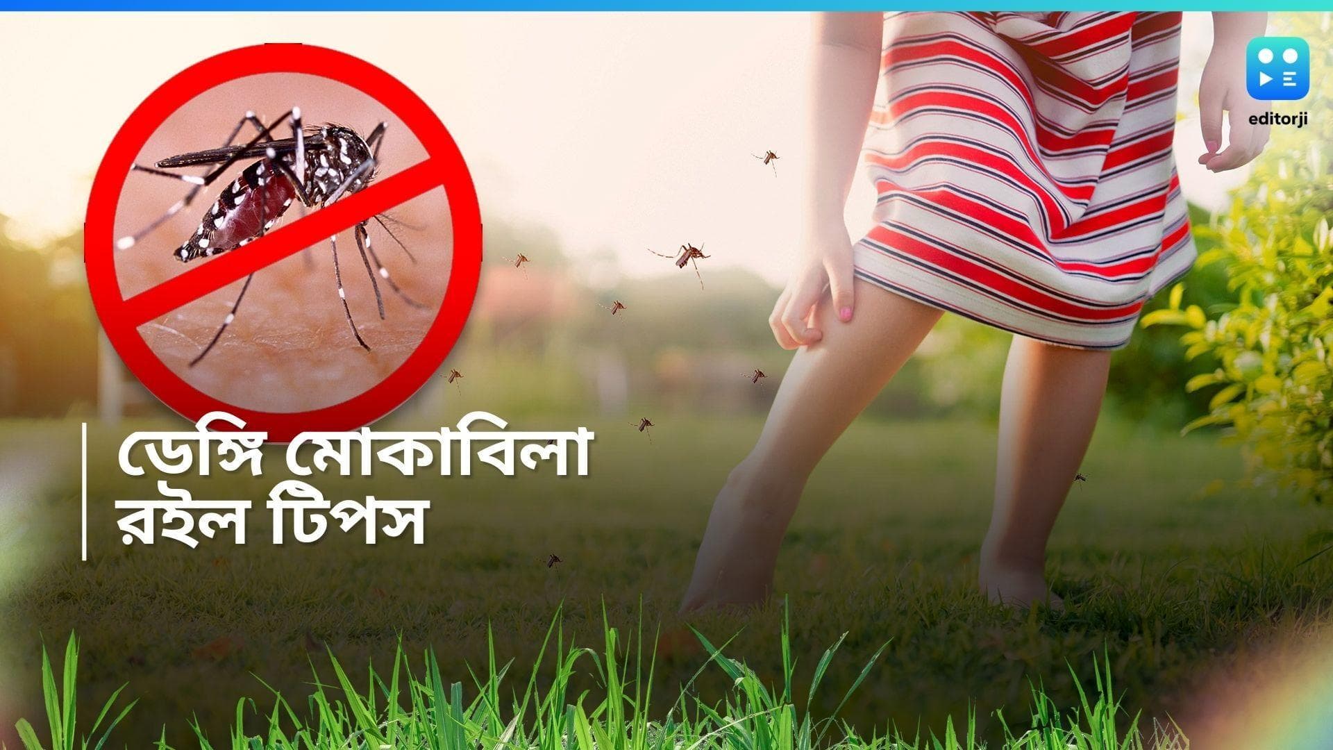 Dengue Prevention : বর্ষা মানেই ডেঙ্গির চোখরাঙানি ! সতর্ক হোন আগেভাগেই, কী করবেন, কী খাবেন, রইল টিপস