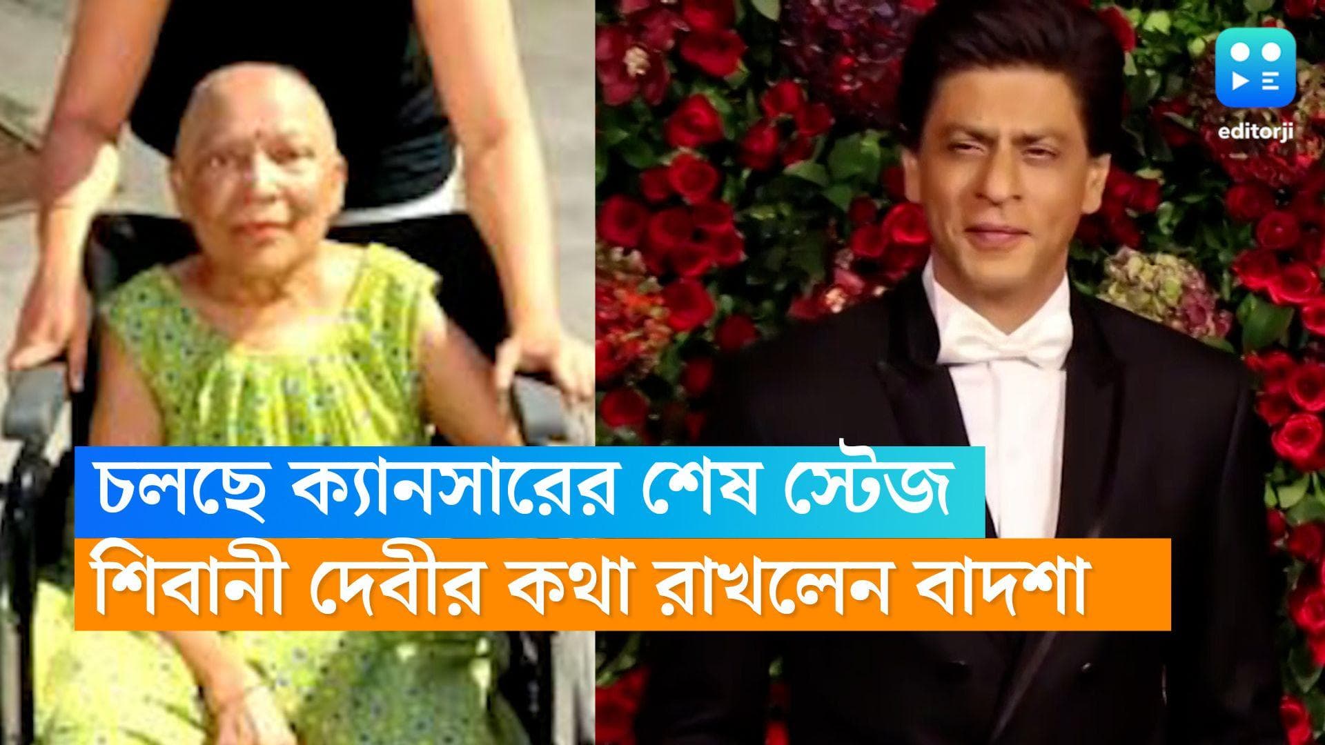 Shah Rukh Khan : 'মৃত্যু পথযাত্রী' শিবানী দেবীর কথা রাখলেন শাহরুখ, 'প্রমিস' করলেন মাছের ঝোল খাওয়ার 