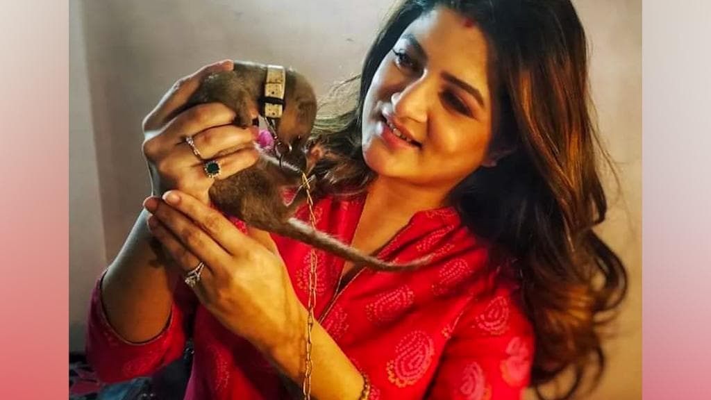 Srabanti Chatterjee: শিকলবন্দি বেজির সঙ্গে ছবি দিয়ে বিপাকে শ্রাবন্তী, পরপর দু'দিন অভিনেত্রীকে জেরা