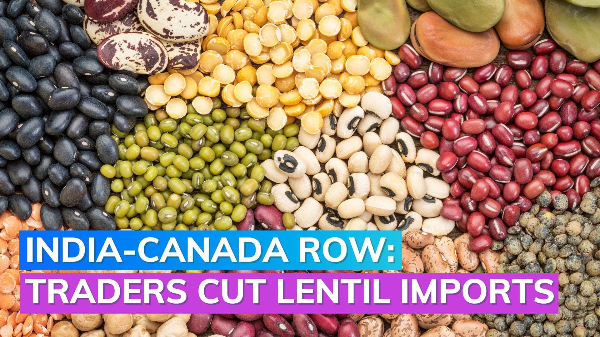 India-Canada Relation: Traders restrict lentil imports amid diplomatic row