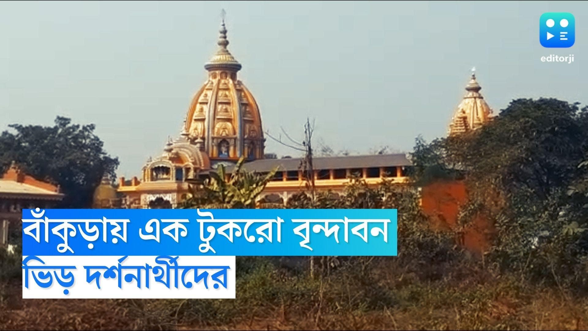 Mini vrindavan: বাঁকুড়ায় এক টুকরো বৃন্দাবন দেখতে দর্শনার্থীদের ভিড়