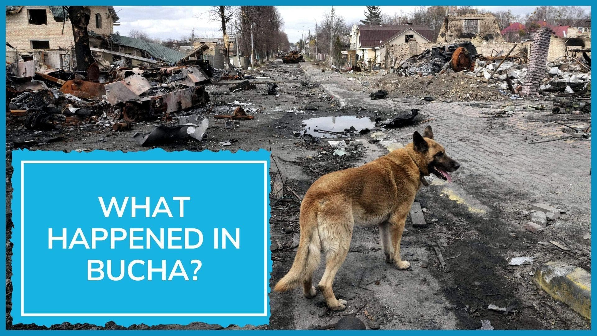 Ukrainian President Volodymyr Zelenskyy vows justice as Russian 'war crimes' come to fore