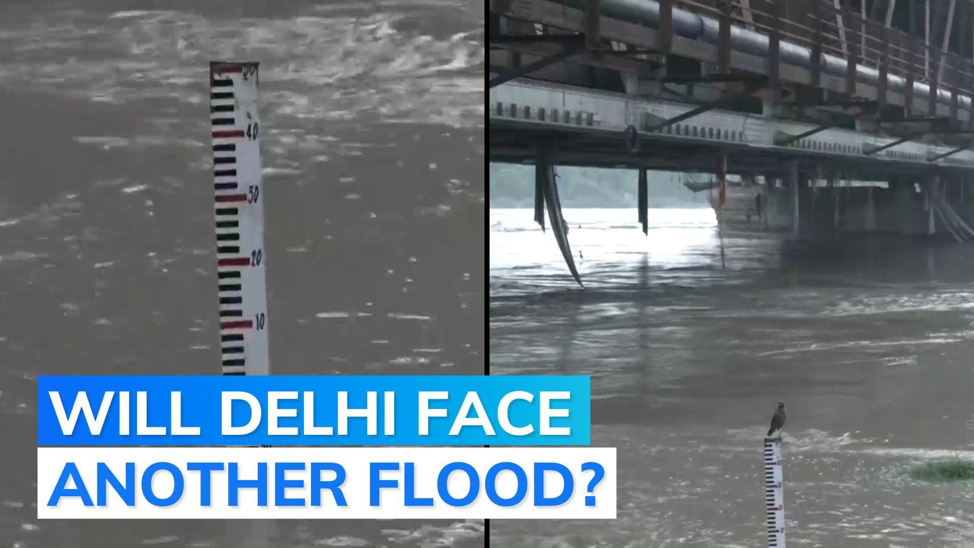 Delhi: Yamuna again above danger mark after heavy rains in Himachal, Uttarakhand