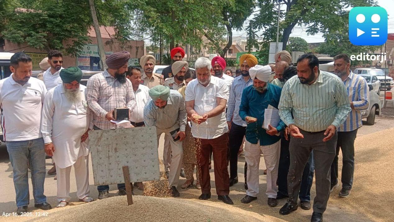 Punjab's record wheat harvest surpasses targets with 4.19 LMT arrivals