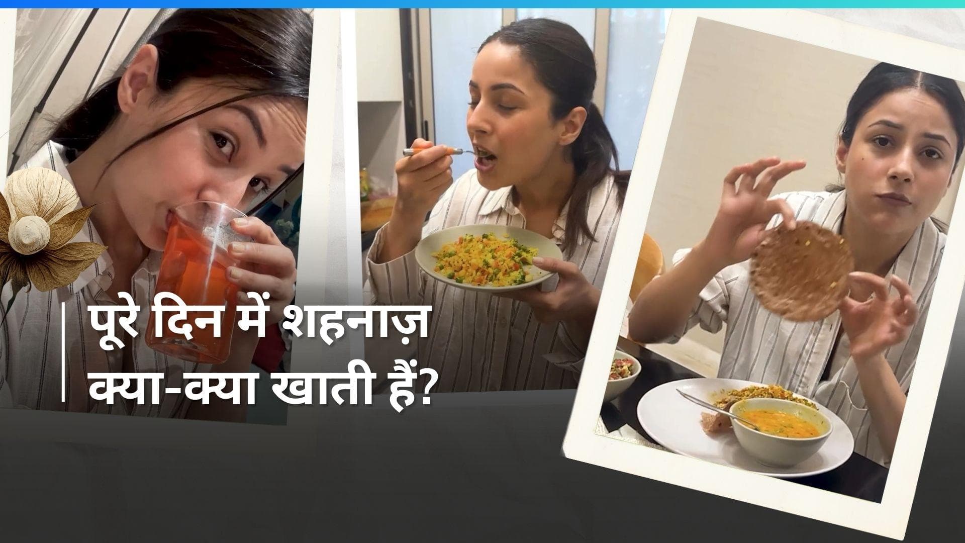 Shehnaaz Gill's Diet: देखें शहनाज़ गिल दिन भर में क्या-क्या खाना पसंद करती हैं, खुद शेयर किया डेली रूटीन
