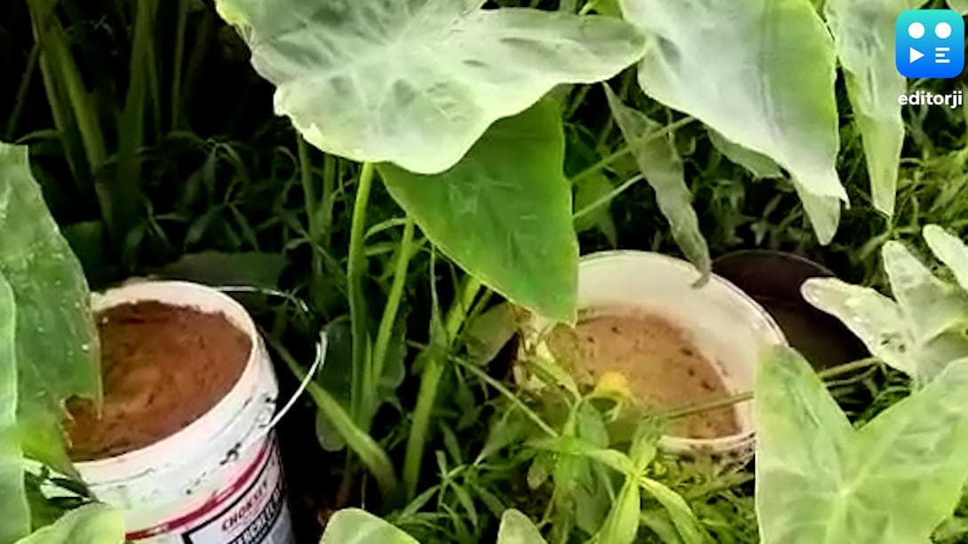 Birbhum Violence: বীরভূম আছে বীরভূমেই, মাড়গ্রাম থানা এলাকা থেকে উদ্ধার ২০০ তাজা বোমা