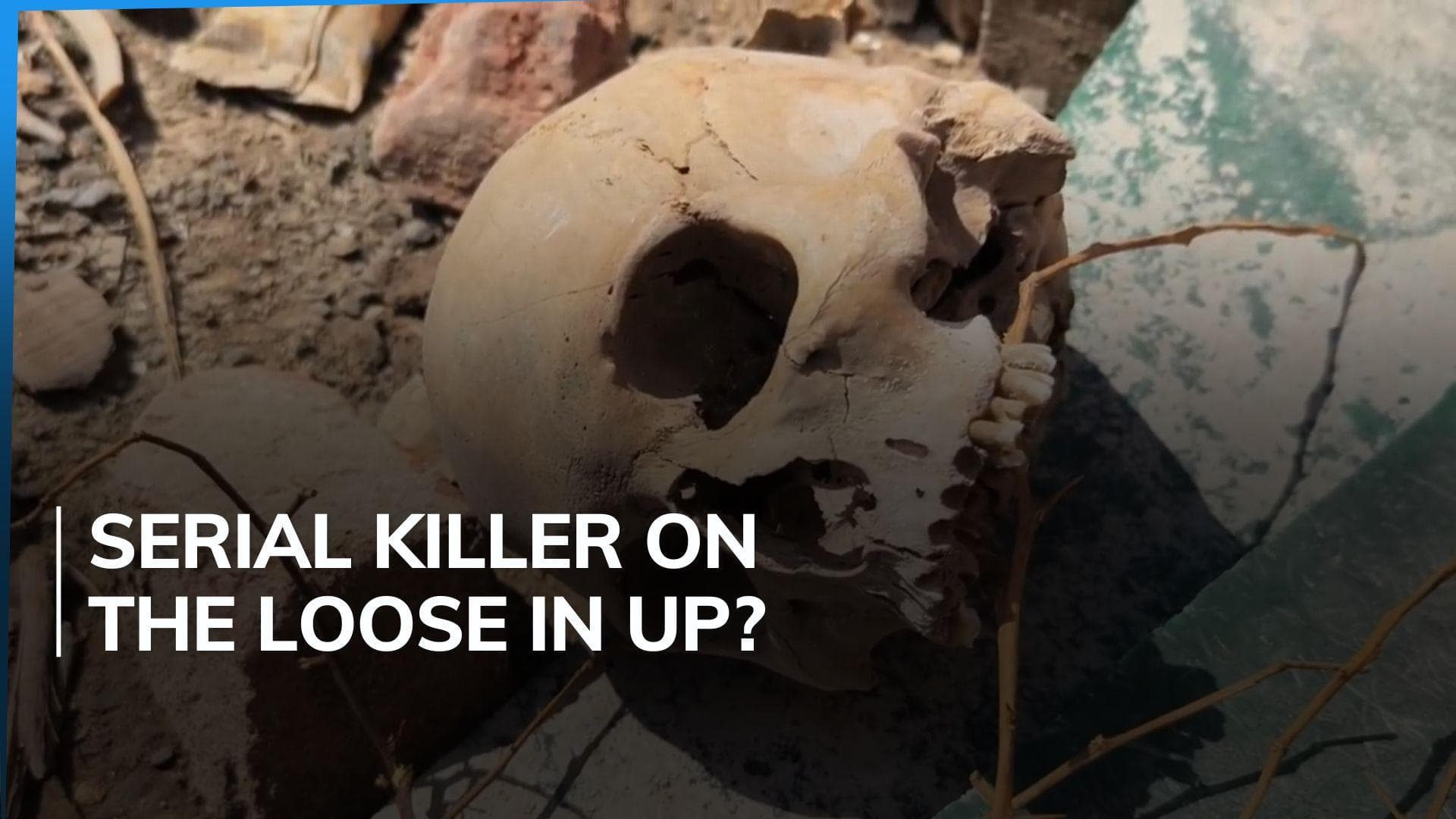Human skulls, bones found at vacant plot in Kanpur