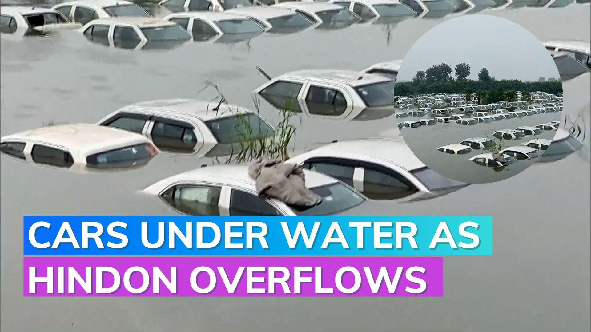 Watch: cars submerged in Greater Noida as Hindon river overflows