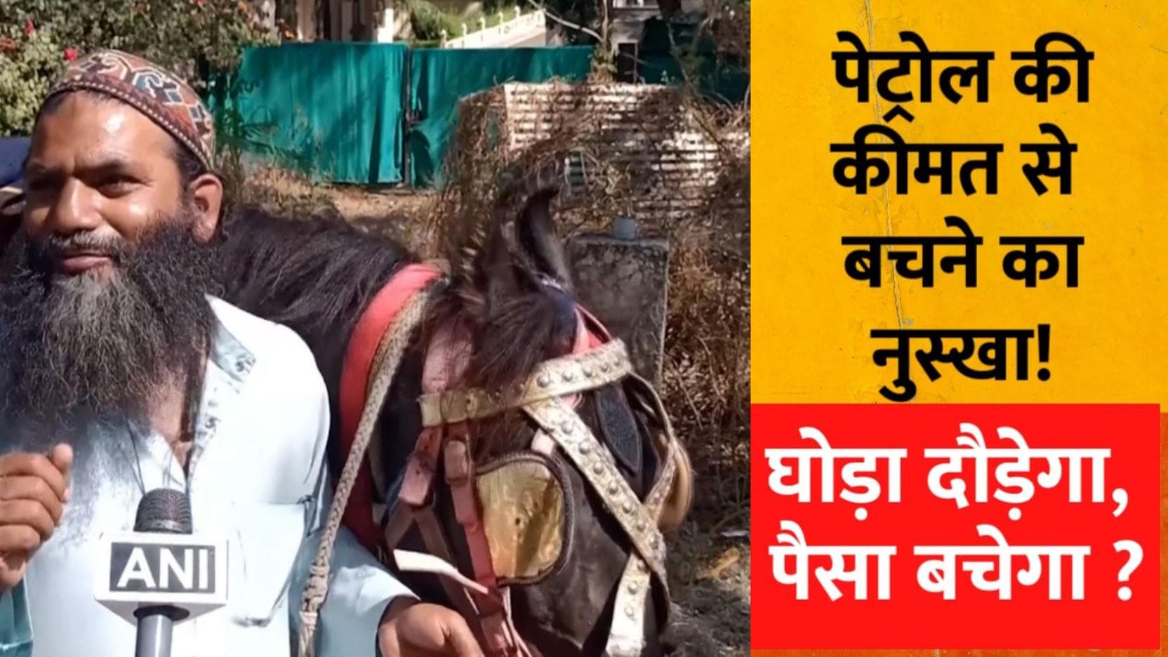 Maharashtra: तेल की कीमतें बढ़ीं तो बंदा घोड़े से जाने लगा दफ्तर!  