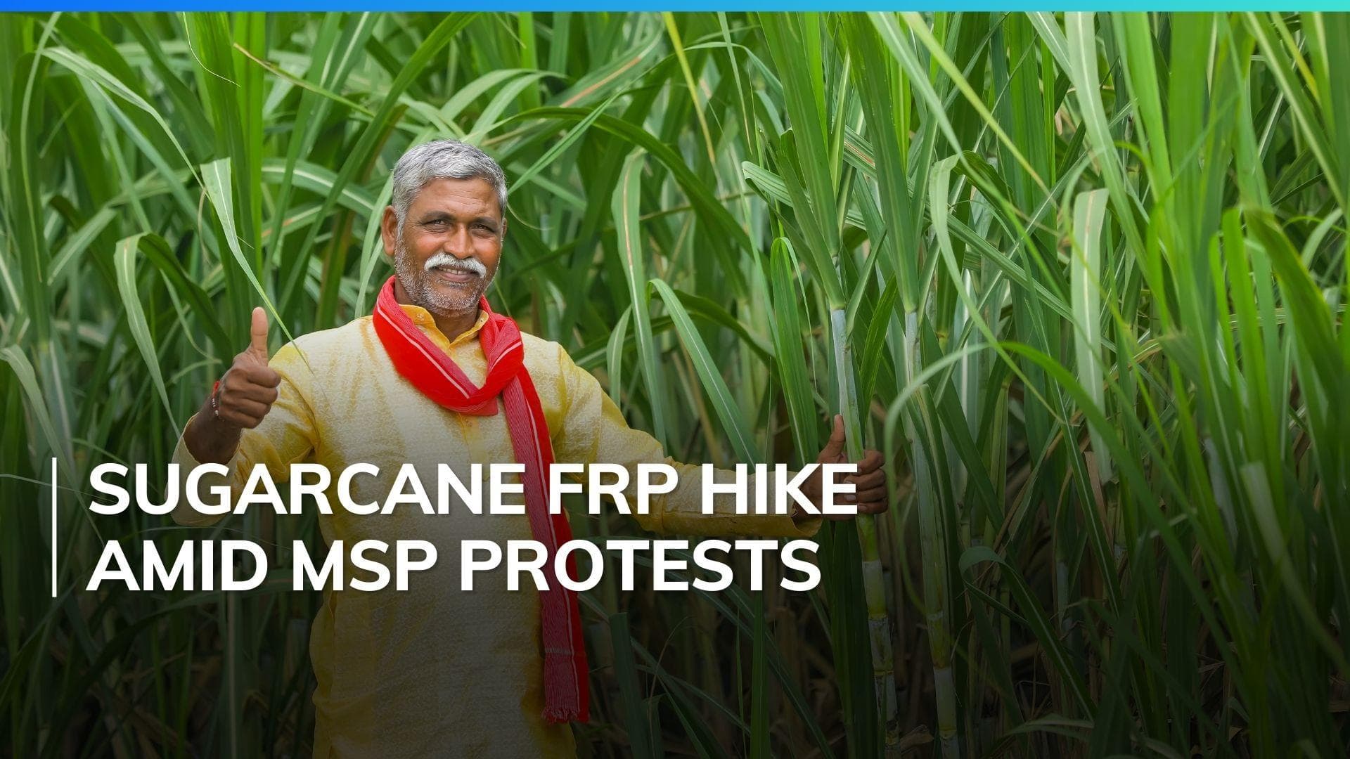 Govt hikes sugarcane fair price to the highest in 10 years 