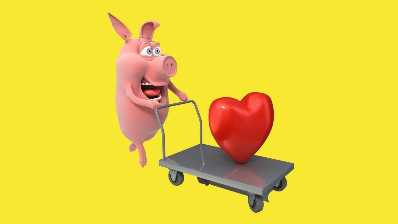 Did Indian doctor try pig-to-human heart transplant 25 years ago?