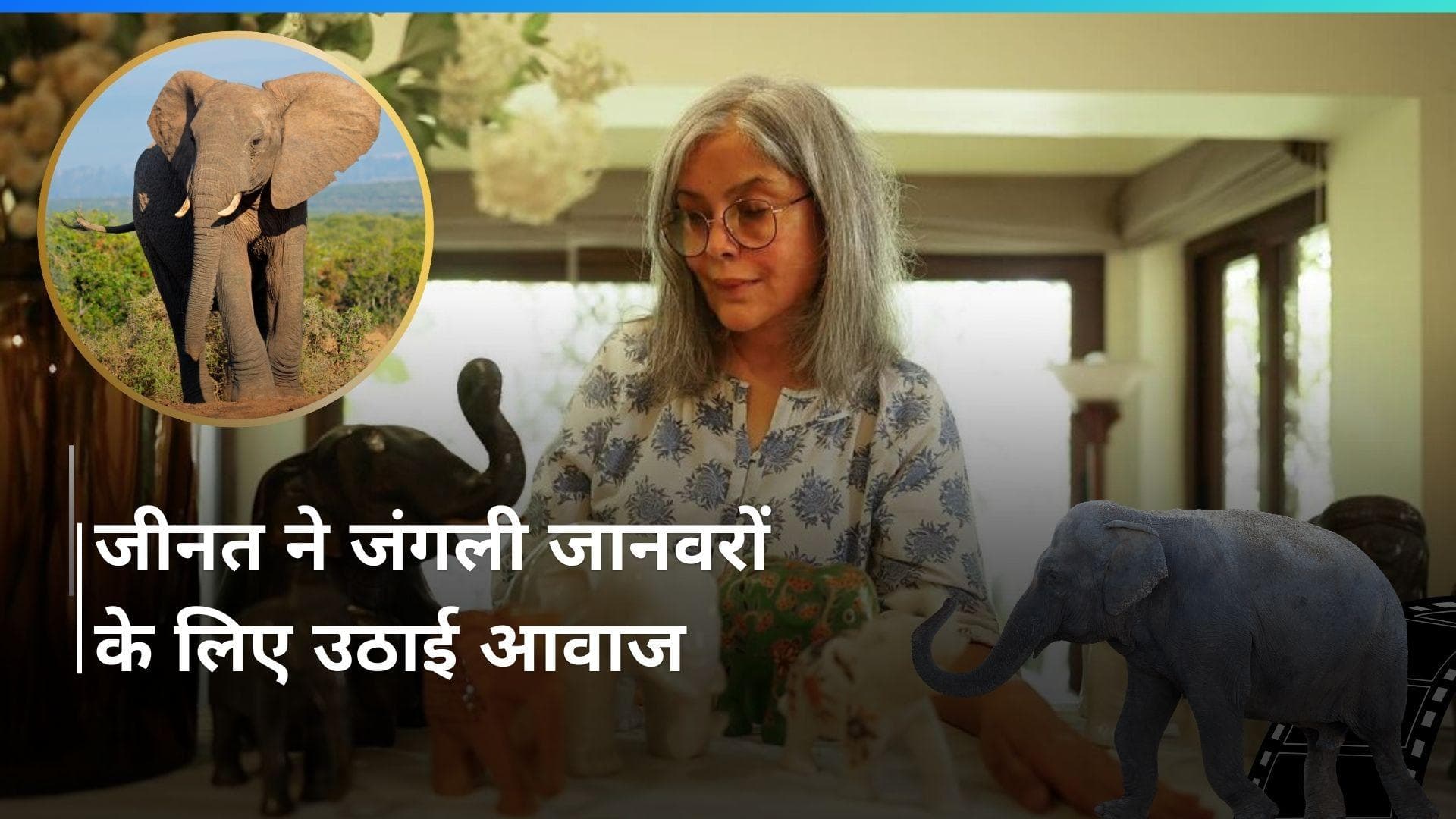 Zeenat Aman ने पोस्ट शेयर कर जंगली जानवरों के लिए लोगों से किया ये खास आग्रह