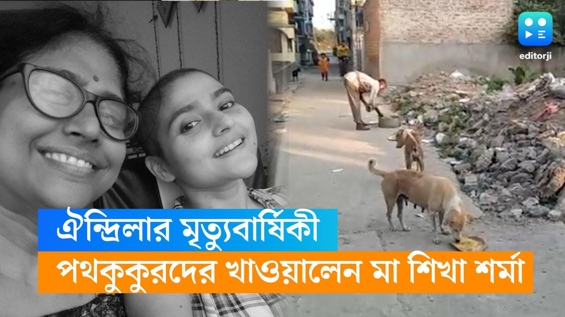 Aindrila Sharma : ঐন্দ্রিলাকে ছাড়া একবছর, মেয়ের মৃত্যুবার্ষিকীতে বৃক্ষরোপণ, পথকুকুরদের খাওয়ালেন মা 