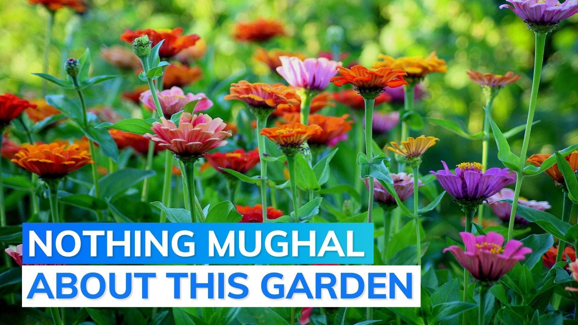 Mughal Garden renamed again. This time by Delhi University