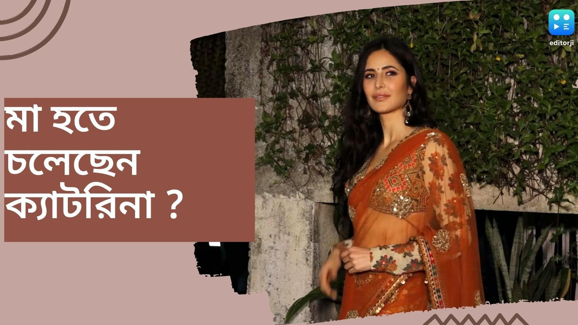 Katrina Kaif Pregnancy : মা হতে চলেছেন ক্যাটরিনা ? সব ছবির শুটিং পিছিয়ে যেতেই শুরু জল্পনা 