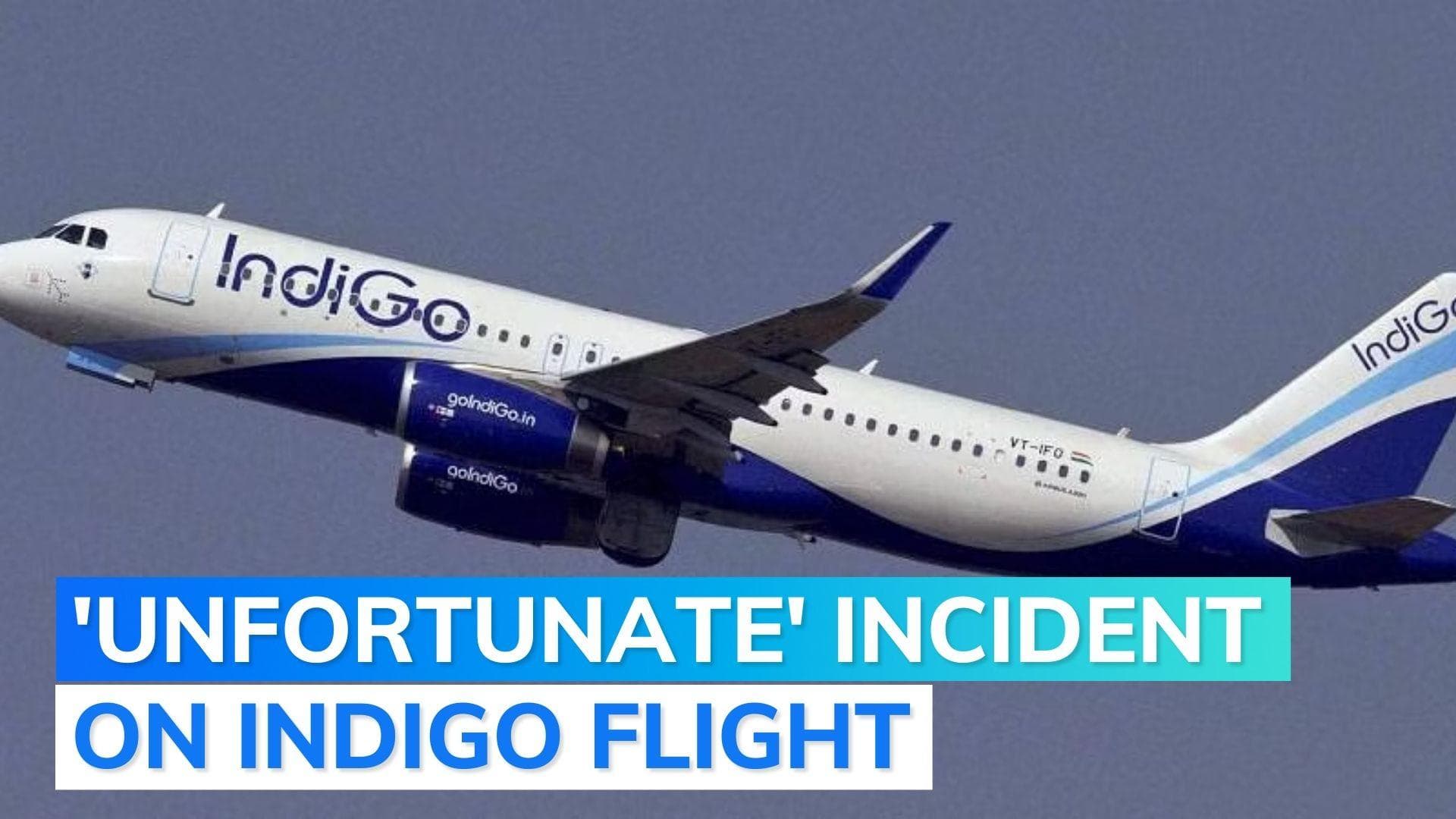 IndiGo flight diverted to Pakistan's Karachi after passenger falls sick, declared dead on arrival: report