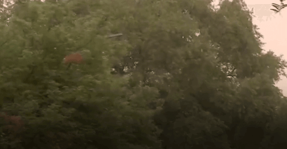 दिल्ली-NCR में सुहाना मौसम, झमाझम बारिश से गिरा पारा