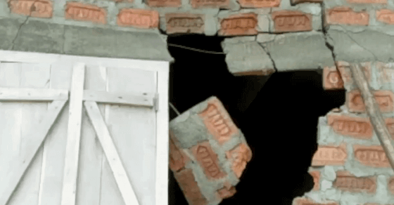 Assam: Wild jumbos creating havoc in Udalguri along Bhutan border