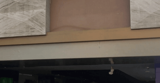 FICCI FLO organises talk on ‘social entrepreneurship’ in Assam