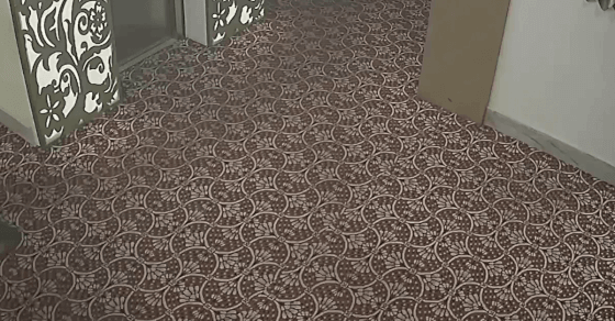 WATCH: Assam’s ‘Dabangg’ SP ‘thrashes’ executive magistrate