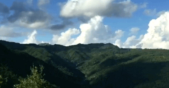 Manipur: Food lovers witness unique experience at cosmos carnival