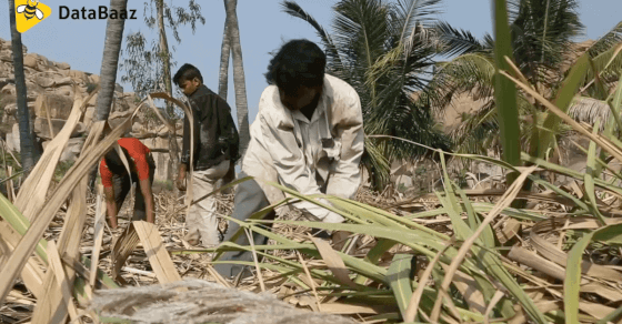  Indian Farmers: Pushed Over The Edge