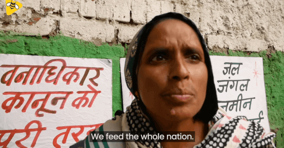 Why Do India’s Tribals Fear Eviction Despite Forest Rights Act? | DataBaaz