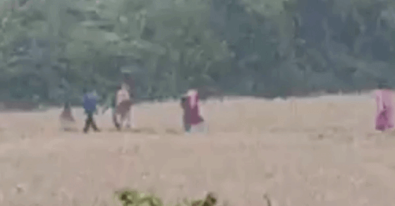 WATCH | How Rohingyas are crossing Bangladesh border in Tripura