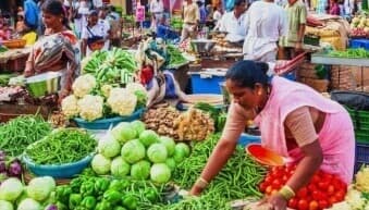 Despite Abundant Rainfall in 2019, India Faces Crop Failure