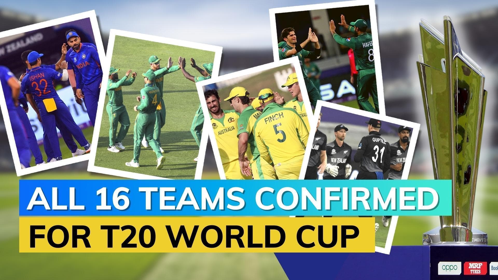 Zimbabwe & Netherlands qualify for ICC Men's T20 World Cup 2022