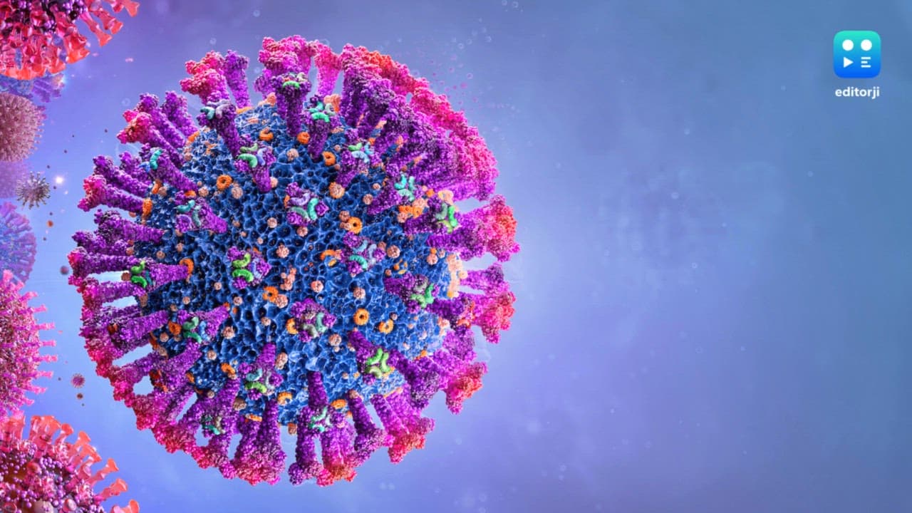 Over 100 people test positive for COVID in West Bengal, active cases now at 538