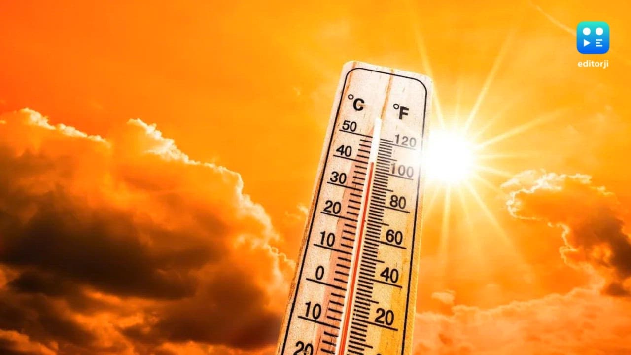 Severe heatwave grips north India; Delhi on red alert as heat index hits 51.9°C