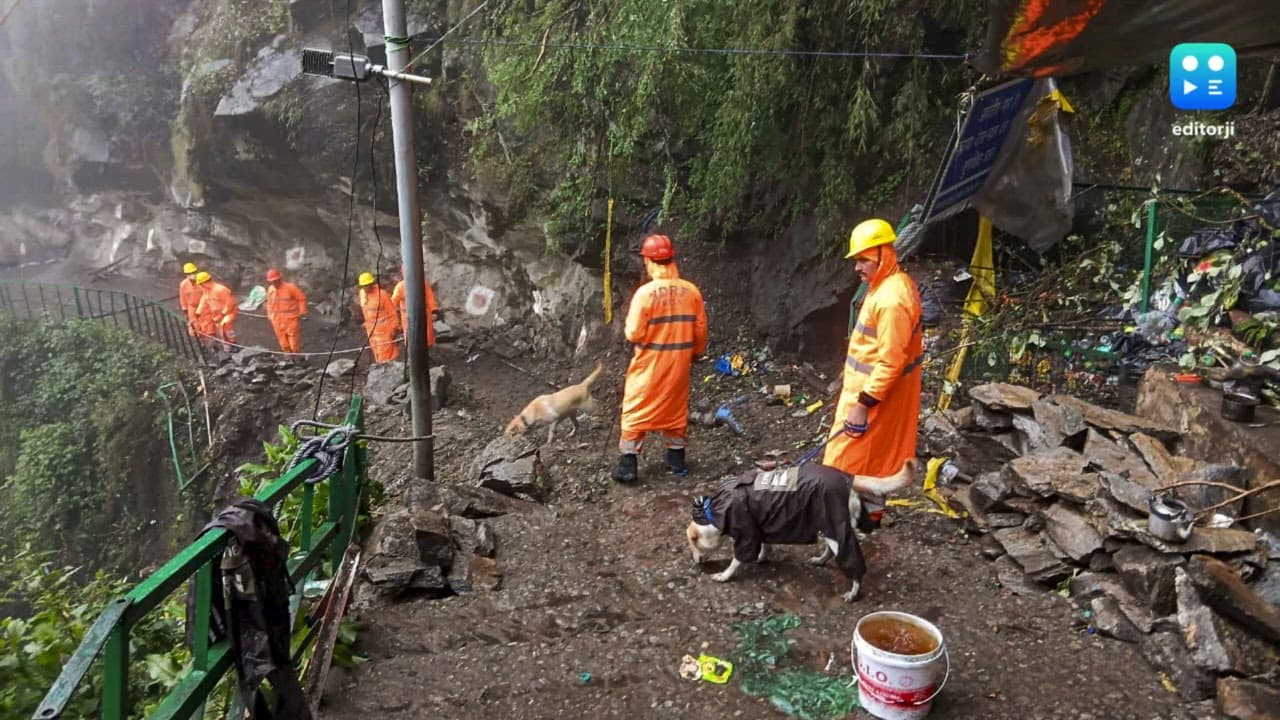 Uttarakhand: Search for 2 more persons resumes after landslide hits Yamunotri trek route