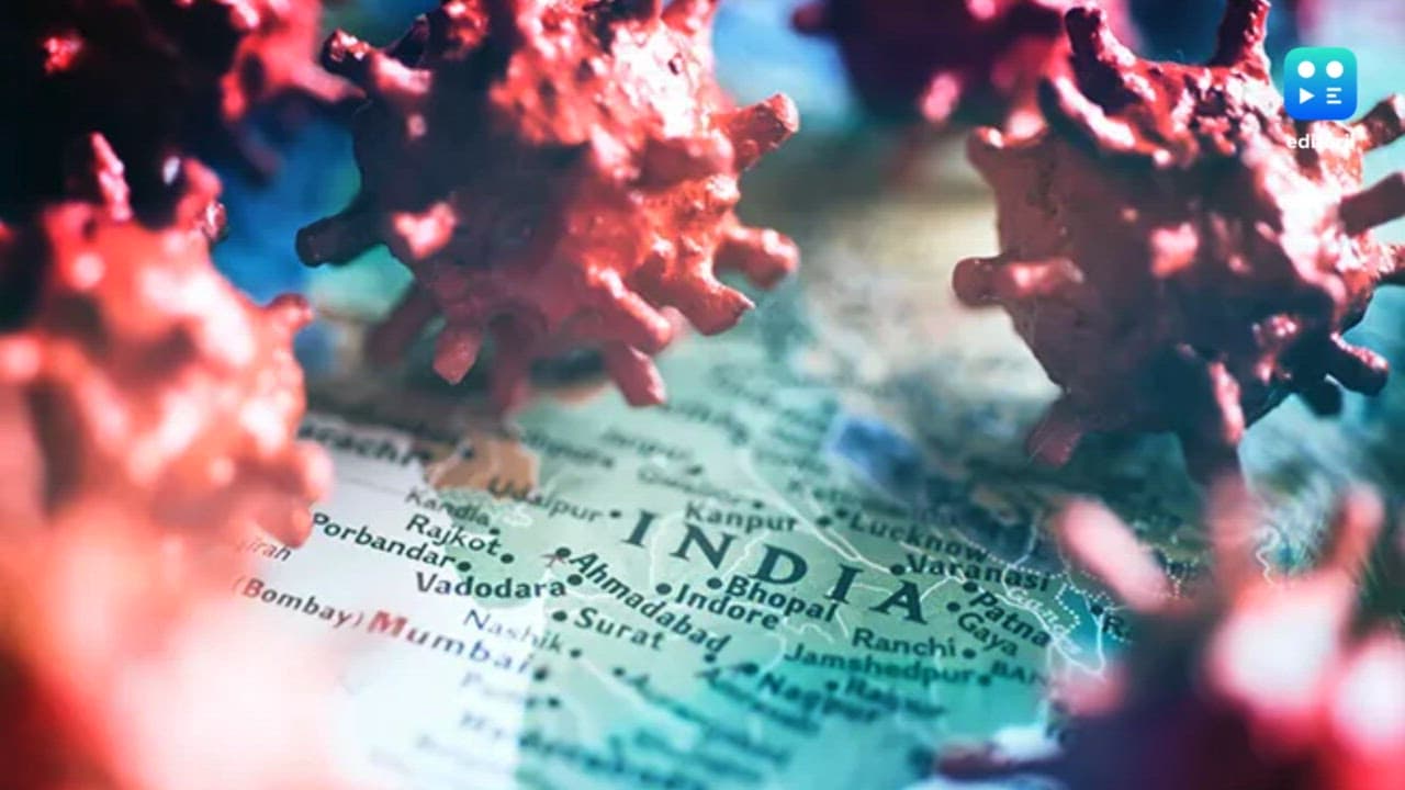 No link between vaccines and sudden deaths in India post COVID, studies find