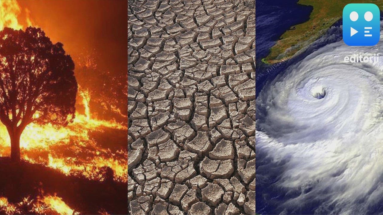 In landmark opinion, UN court says climate change an ‘existential threat’