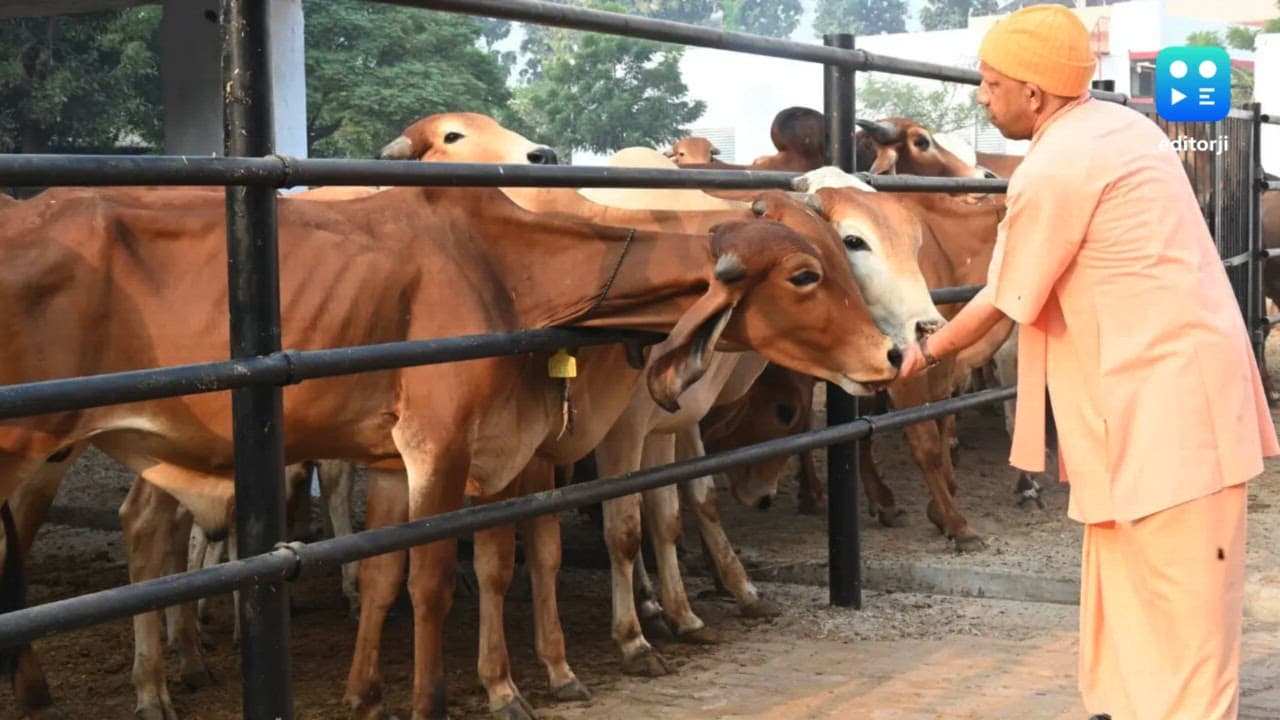 UP govt joins hands with Patanjali Yogpeeth to promote production of cow-based products