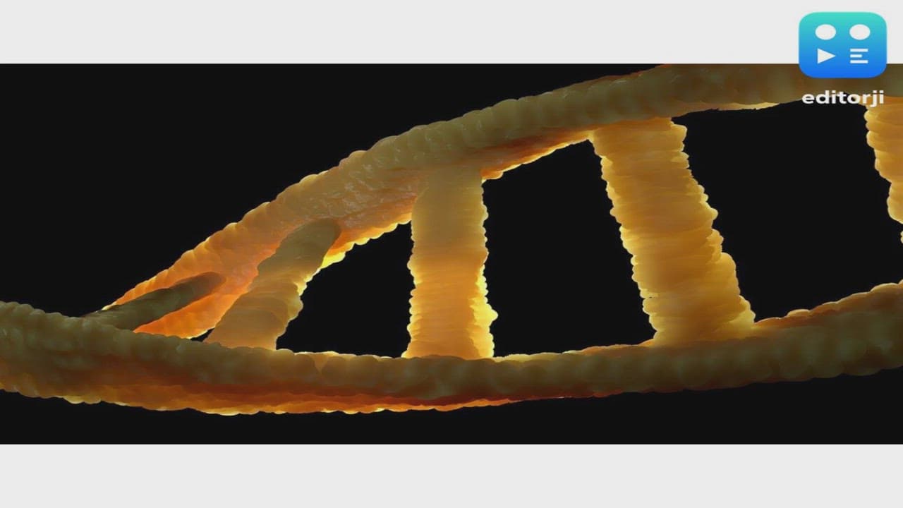 Stem Cell Therapy in Bangkok: A New Frontier for Regenerative Medicine