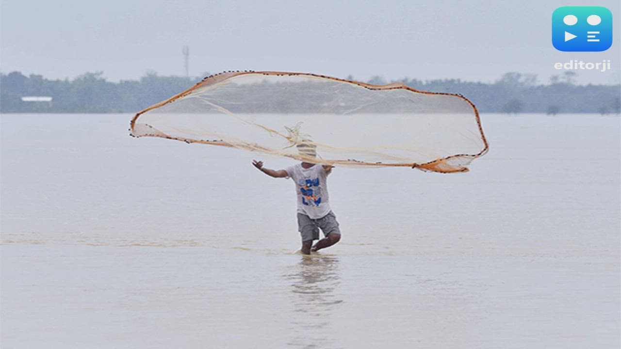 102 new Indian fishery units can now export to EU countries: Piyush Goyal