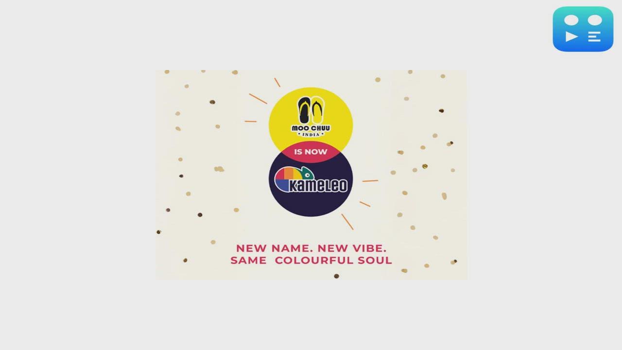 Kameleo: From Challenges to a Colorful New Beginning