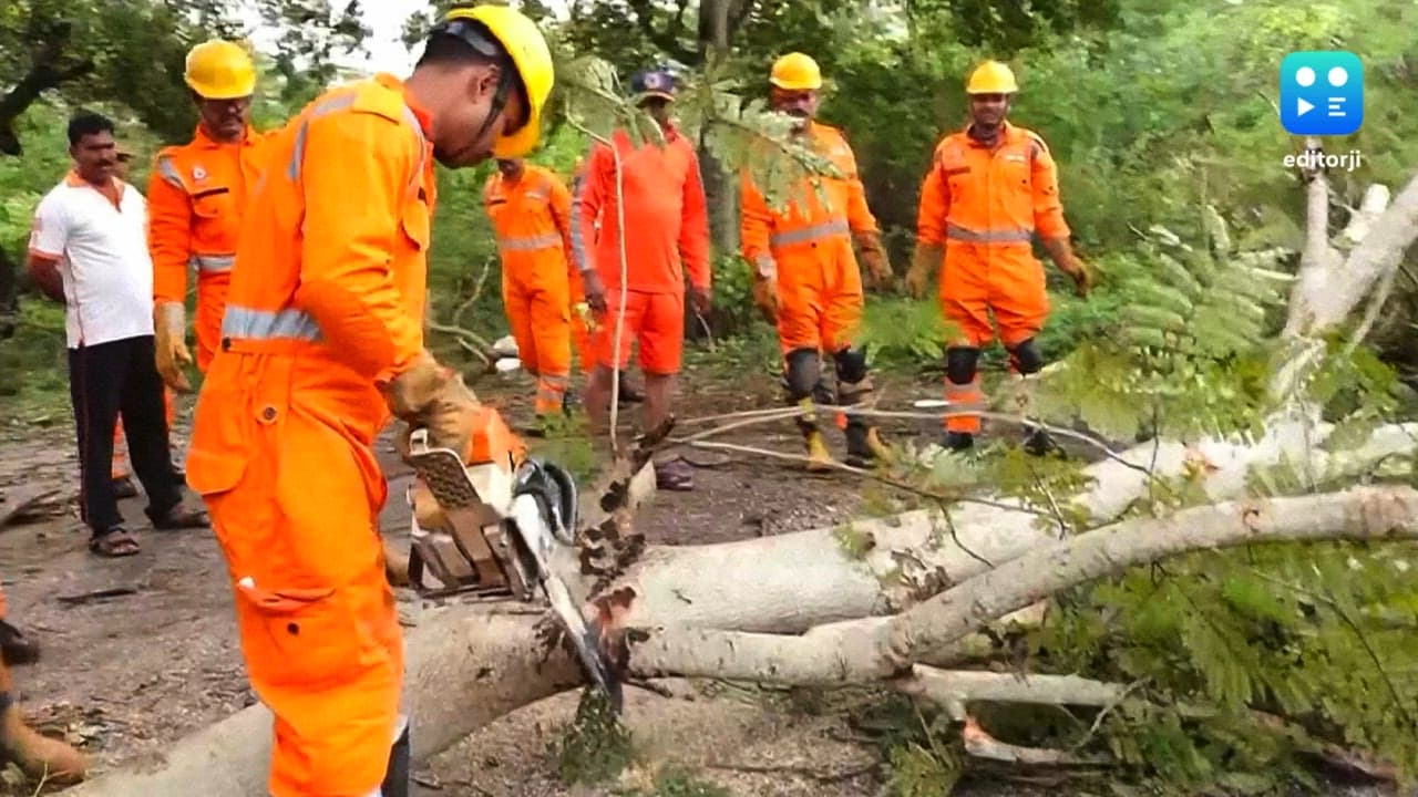 Cyclone Montha leaves one dead, roads inundated, trees uprooted, crops damaged in Andhra