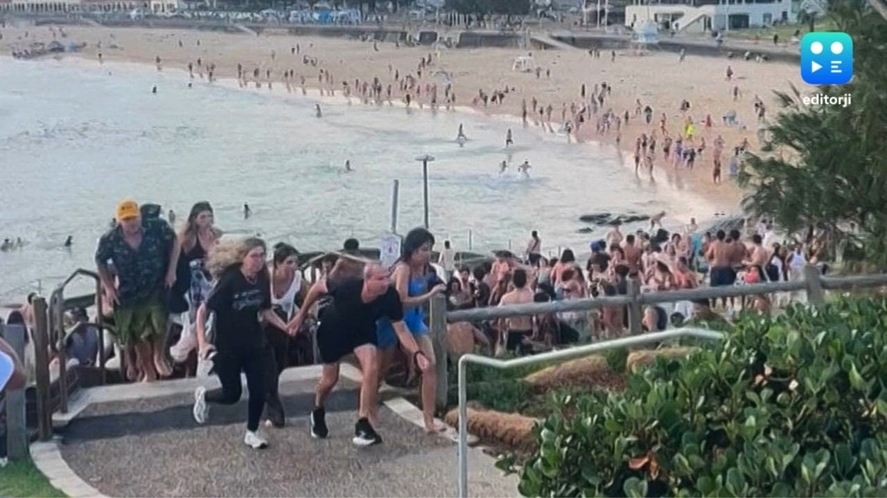 Father and son gunmen kill 15 at Jewish festival on Australia's Bondi Beach