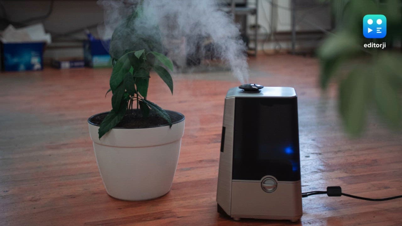 Delhi HC directs GST Council to meet at earliest, consider lowering GST on air purifiers