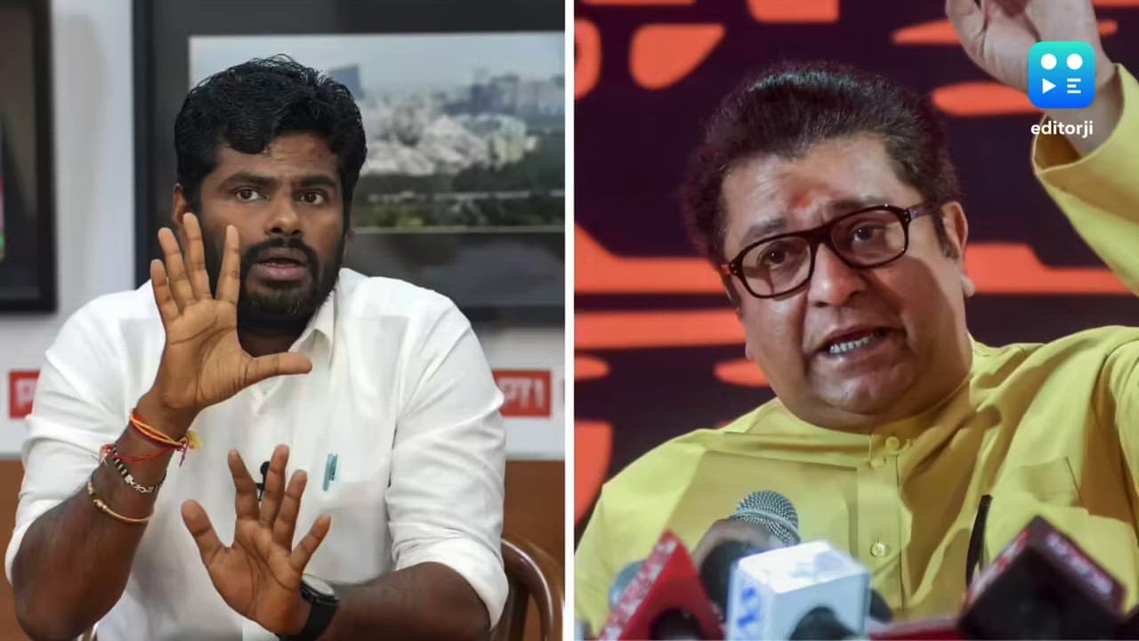 BMC results: Karnataka BJP takes 'rasmalai' dig at Raj Thackeray, eyes repeat in local body polls