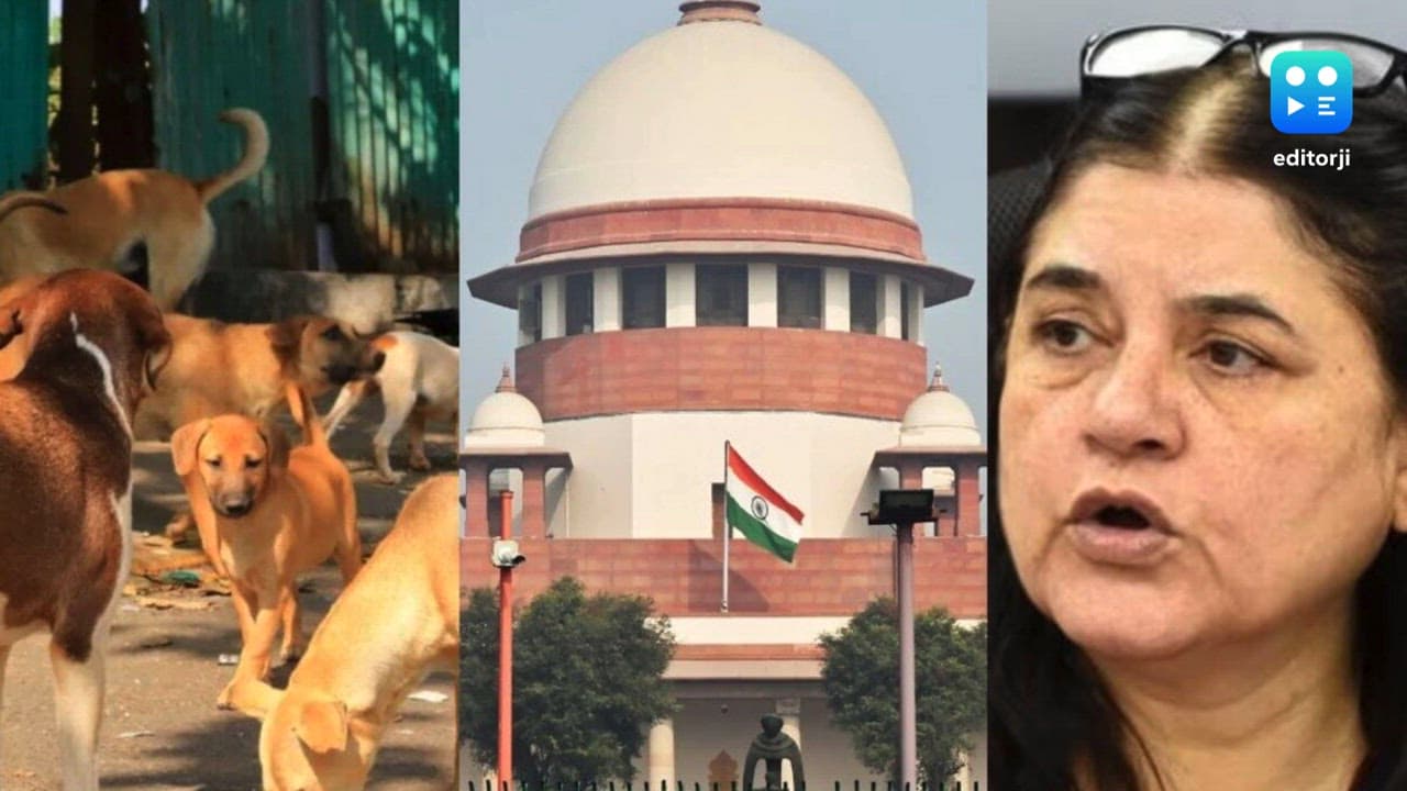 'Contempt of court': SC irked by Maneka Gandhi's criticism of its order in stray dog case