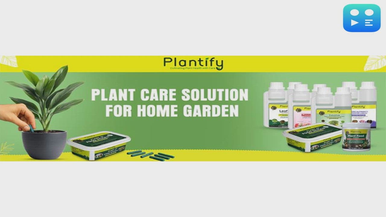 How Plantify Garden is Simplifying Home Gardening in India with Easy-Care Plant Nutrition Solutions