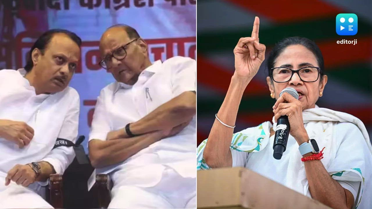 Ajit Pawar's death in plane crash an accident, don't bring politics: Sharad Pawar