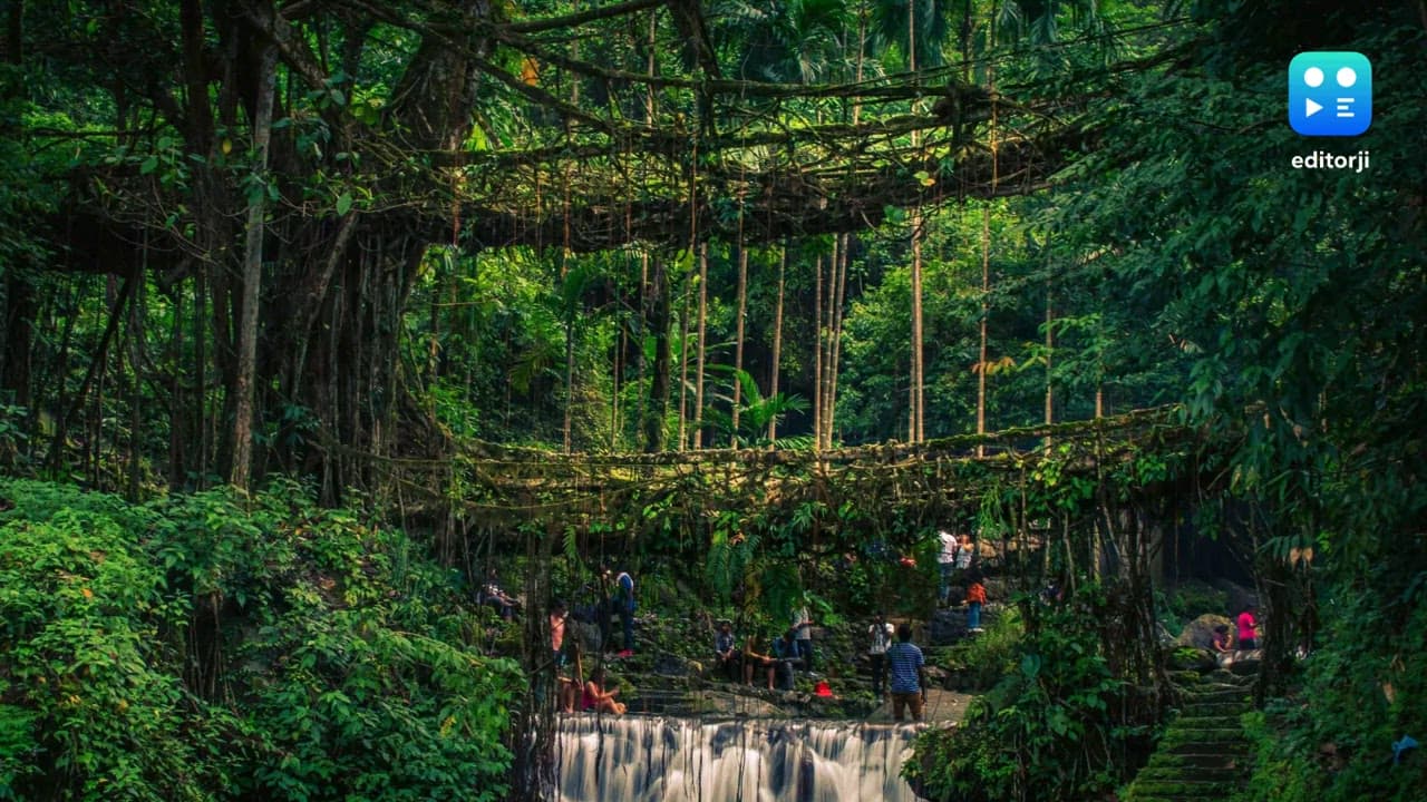 India submits nomination of Meghalaya's living root bridges for UNESCO World Heritage site
