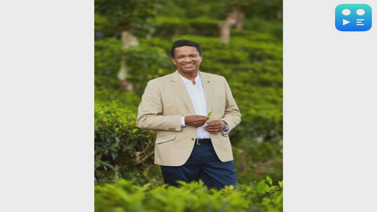 Dilmah Tea: 2026 could be the toughest year for tea growers