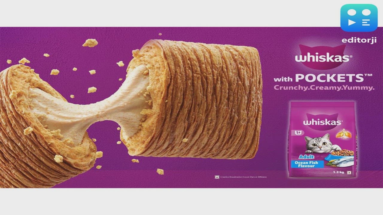 WHISKAS® Celebrates Sensorial Delight in Cat Food with WHISKAS® with POCKETS™ Campaign